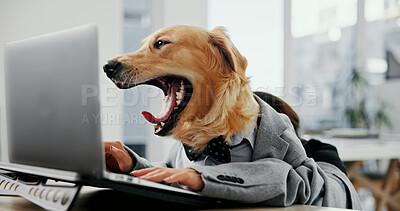 Buy stock photo Dog, office and animal yawn at laptop at desk while tired, overworked and burnout. Golden retriever, pet friendly workplace and technology for comic or funny work environment with intelligent breed