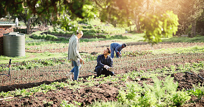 Buy stock photo Farming, inspection and crops with people in nature for agriculture, plant field research or quality assurance. Sustainability specialist, growth or environment with farmer in countryside for harvest