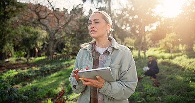 Buy stock photo Farm, tablet and environment with woman in nature for ecology, plant field research or crop yield forecast. Sustainability, growth or agriculture with person in countryside for soil ph sensor