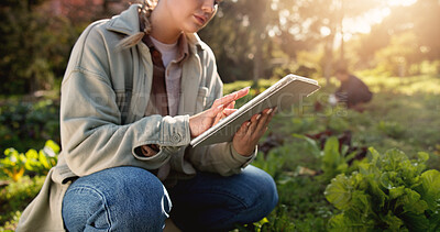 Buy stock photo Farm, tablet and typing with hands of woman in nature for environment, plant field research or crop yield forecast. Sustainability, growth or agriculture with person in countryside for soil ph sensor