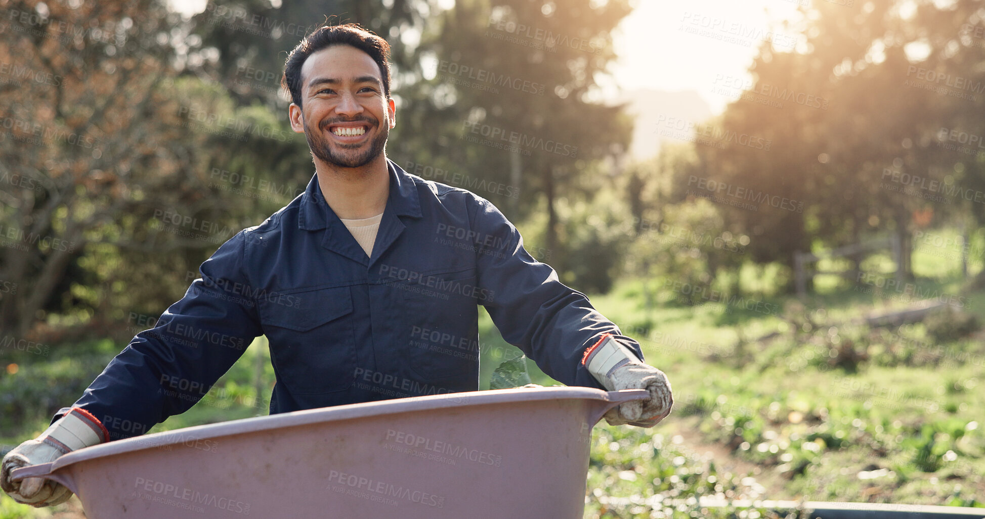 Buy stock photo Farming, bucket and man with harvest on farm for agribusiness with organic produce planting. Sustainable, outdoor and male person working on eco friendly crop rotation in countryside environment.