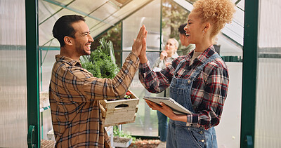Buy stock photo High five, tablet and people with vegetables on farm with success for plants, crops and harvest. Agriculture, greenhouse and man and woman celebrate on digital tech for inventory, checklist or growth