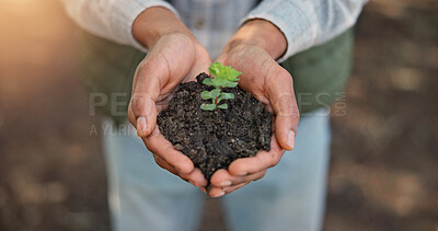 Buy stock photo Above, hands and plant with soil for growth, sustainability and eco friendly for earth day. Agriculture, farmer and person with green leaves for support, accountability or organic farming in nature