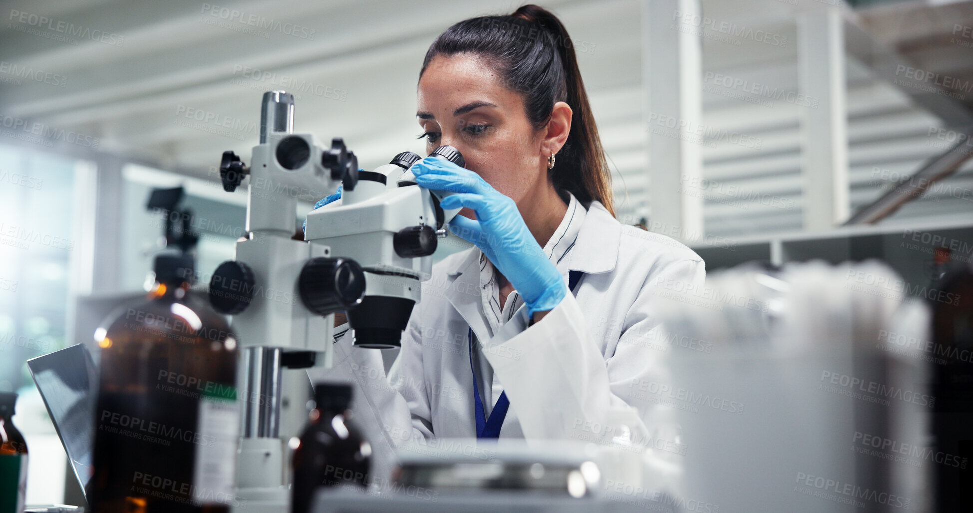 Buy stock photo Woman, research or scientist with microscope for forensic study or new discovery at lab. Female person, medical worker or inspect with lens for micro organism, scientific breakthrough or chemistry