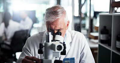 Buy stock photo Mature man, research and scientist with microscope for forensic study or new experiment. Male person, medical worker or employee with lens, micro organism or scientific breakthrough at laboratory
