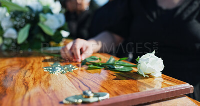 Buy stock photo Coffin, flower and hand at memorial with respect, grief or loss at family service for burial. Person, mourning and grieving relative with white rose on casket for remembrance at funeral at graveyard.