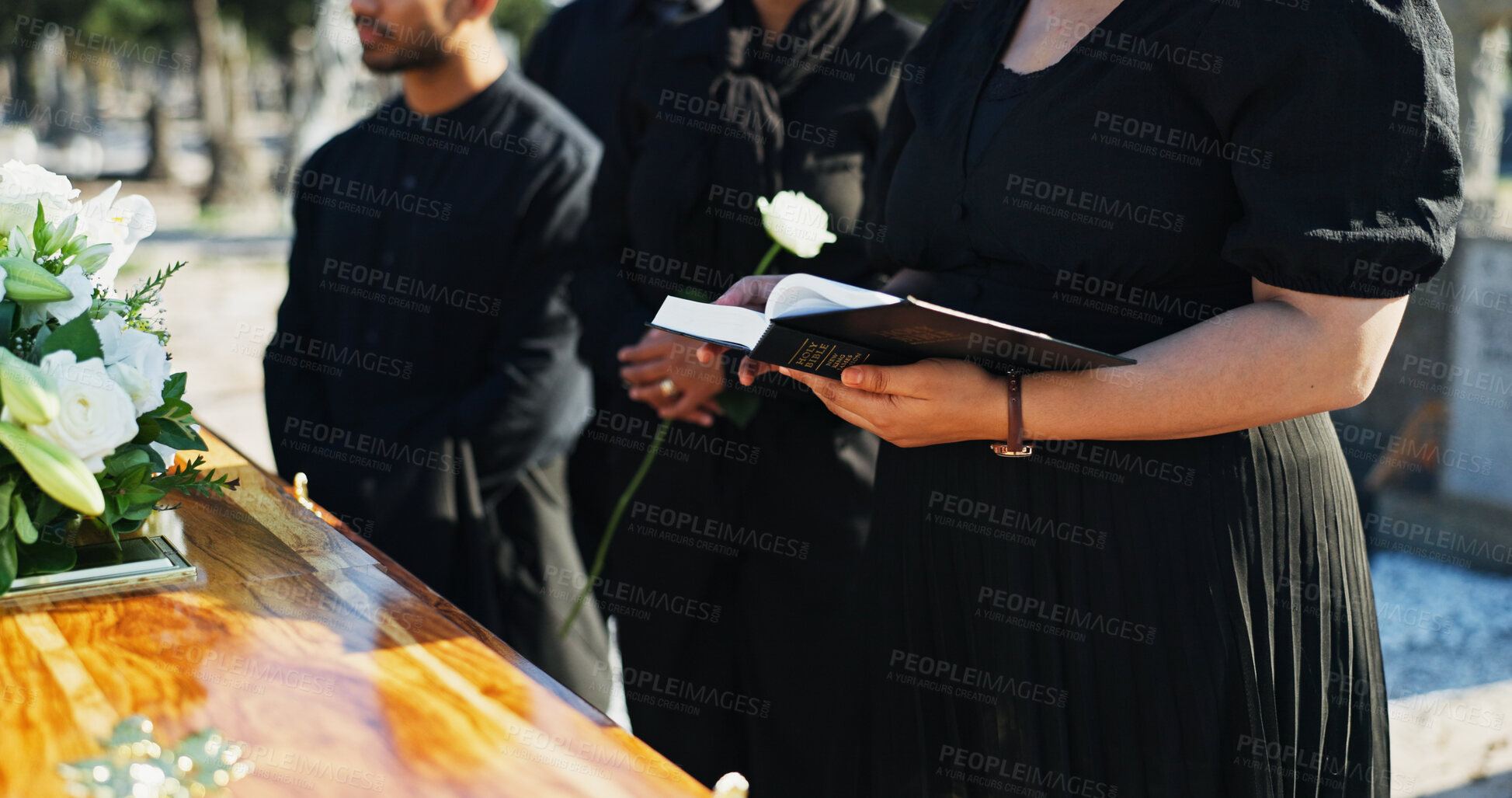 Buy stock photo Bible, flower and hands by coffin at funeral for respect, blessing or spiritual comfort at graveyard. Religion, reading and woman by casket with white rose and holy book for grief, loss or farewell.