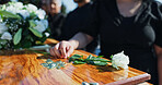 Coffin, flower and woman at funeral with respect, grief or loss at family service for burial. Hand, mourning and female person with white rose on casket for remembrance at memorial at graveyard.