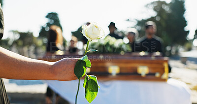Buy stock photo Hand, rose and person at cemetery for funeral ceremony, grief and memorial service outdoor with family. Flower, death and coffin at graveyard for mourning loss, peace and respect for burial closeup