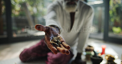 Buy stock photo Herbs, wellness and holistic with hands of man for spiritual offer, self care ritual or burning incense. Aromatherapy, mindfulness and healing ceremony with person closeup for aura cleanse pov