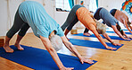 Downward dog, yoga and senior women in studio, fitness and exercise with flexibility. Pensioner, healthy group and elderly people in class, workout and wellness with pilates, balance and retirement