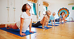 Elderly people, stretching and yoga in class for zen, fitness exercise and spiritual wellness. Group, senior women and cobra pose for pilates, mindfulness and holistic for body balance at health club