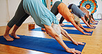Senior people, stretching and yoga in class for zen, fitness exercise and spiritual wellness. Group, elderly women and downward dog pose for pilates, mindfulness and holistic balance at health club