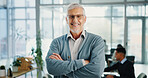 Portrait, business or man in workplace, arms crossed or smile with financial advisor, accounting or expert. Mature person, consultant or employee in office, career ambition or CEO for trading company