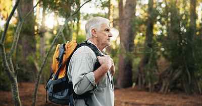 Buy stock photo Forest, backpacking and senior man hiking with travel, adventure or journey on vacation. Outdoor, fitness and elderly male person trekking in nature for discovery on holiday or weekend trip.