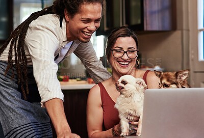 Buy stock photo Happy, couple and laptop to relax with dogs at house in kitchen browsing internet for online shopping pet care. Smile, man and woman with animal for streaming website funny puppy video on vacation