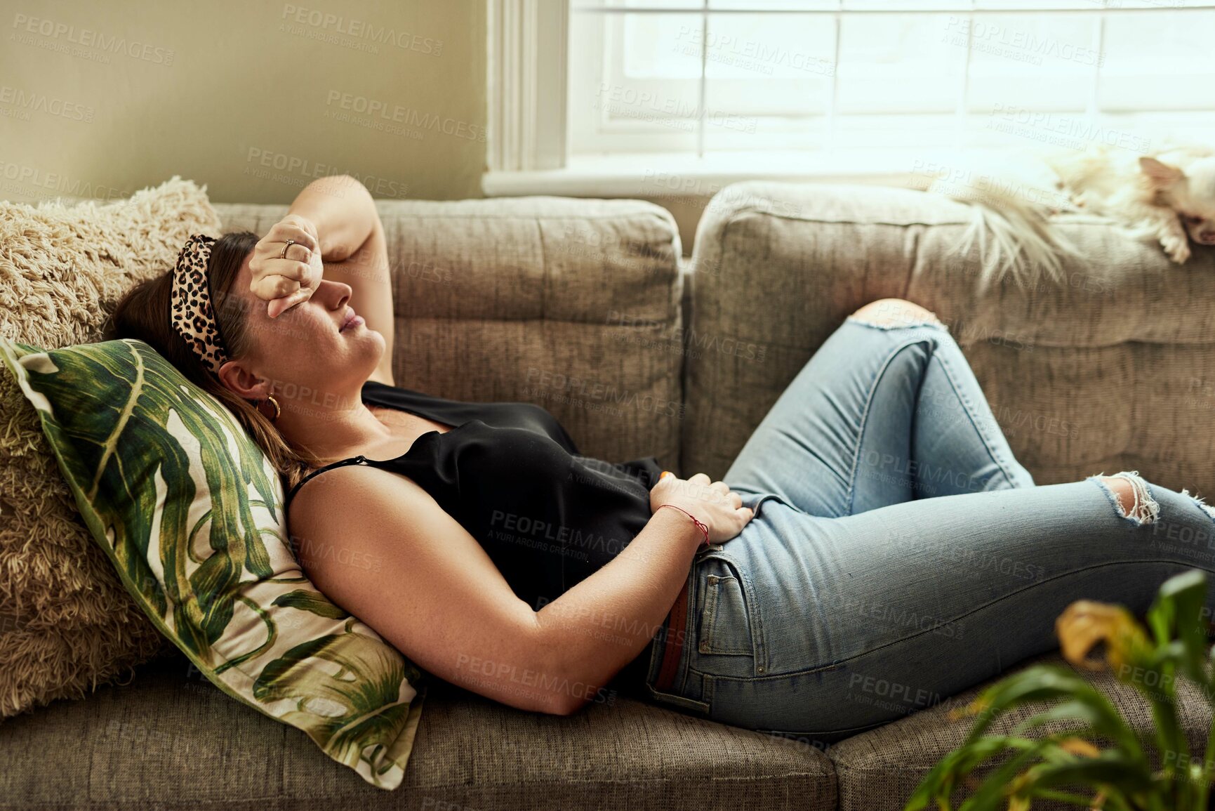 Buy stock photo Period pain, menstruation and a woman on a sofa in the living room of her home suffering from cramps. Stomach, digestion and constipation with a young female person holding her belly in discomfort