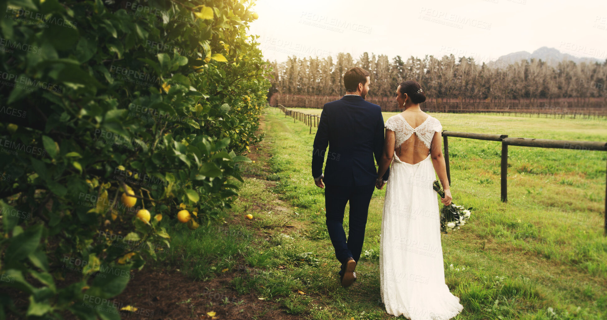 Buy stock photo Wedding, holding hands and back of couple in nature for celebration, support and love. Marriage ceremony, partner and commitment with man and woman walking in countryside for romance and event