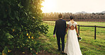 Love, wedding and couple holding hands in vineyard for celebration, commitment or romance. People, back of bride and groom in countryside for outdoor reception, special event or ceremony with loyalty