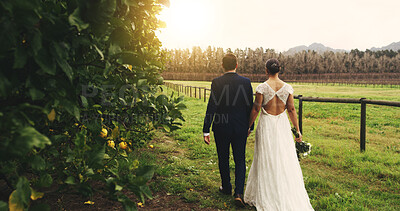 Buy stock photo Love, wedding and couple holding hands in vineyard for celebration, commitment or romance. People, back of bride and groom in countryside for outdoor reception, special event or ceremony with loyalty