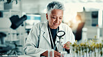 Magnifying glass, plant and science with person in laboratory for gene function, biology and medical research. Gmo editing, pharmacy innovation and cell regeneration with mature woman for growth