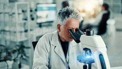 Buy stock photo Mature woman, scientist and microscope in lab for medical research, gene function and experiment. Person, biotechnology and gmo editing for studying cell, review growth and virus analysis for vaccine