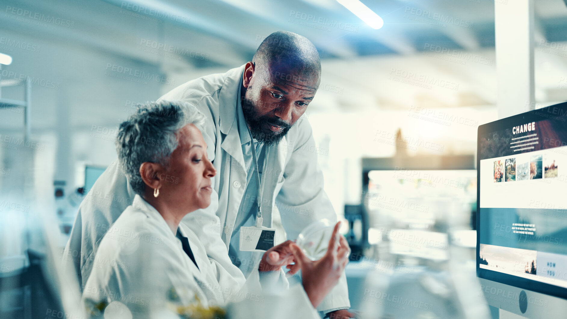 Buy stock photo Collaboration, computer screen and marijuana with scientist people in laboratory for research. Healthcare, innovation and sample with science team at desk for biology, breakthrough or clinical trial