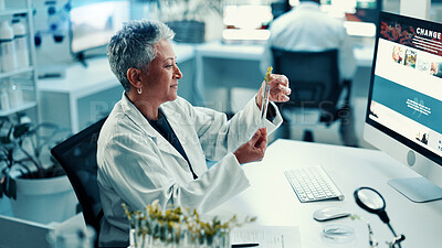 Buy stock photo Test tube, plant and science with woman and research for climate change, biology or medical at tech. Sustainability, pharmacy innovation and healthcare with mature scientist in lab for growth study