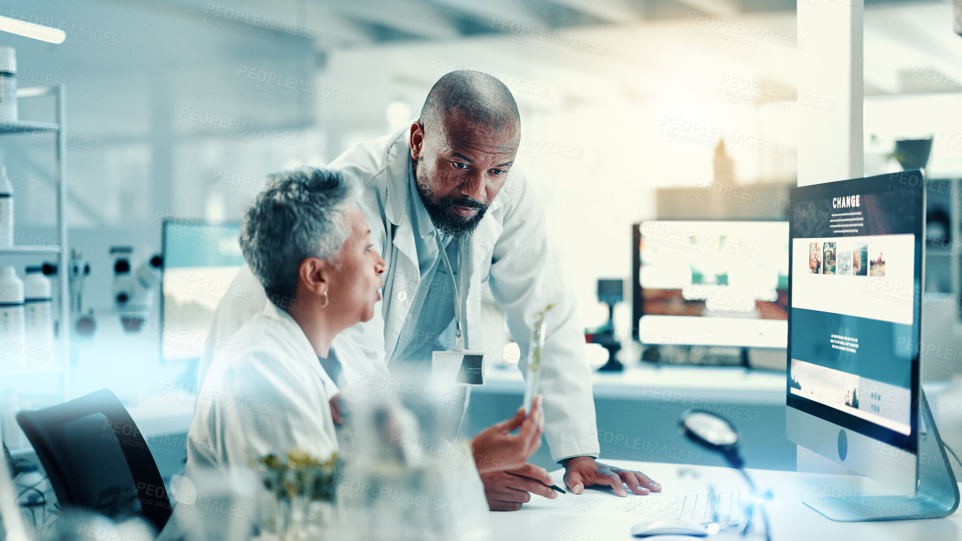 Buy stock photo Computer screen, medical and plants with science people in laboratory for development or research. Collaboration, biology and sample with mature scientist team at desk for healthcare or innovation