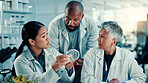 Scientist, people and cannabis in petri dish with talking with team, study or sample at pharma lab. Men, women and medical marijuana leaf in container for research, listen or feedback with science
