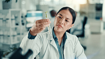 Buy stock photo Science, plant and test tube with woman in laboratory for biology research, medical and growth. Inspection, climate change analyst and environment study with scientist for results and sustainability