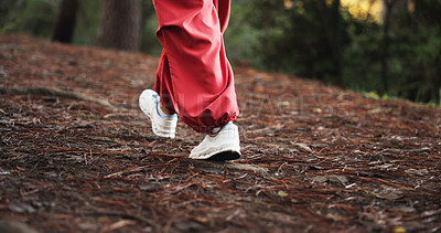 Walking, feet and person on hike in woods, trekking and sneakers for adventure on holiday or travel. Outdoor, hiker and shoes for exploration on vacation, journey and pathway in forest and nature