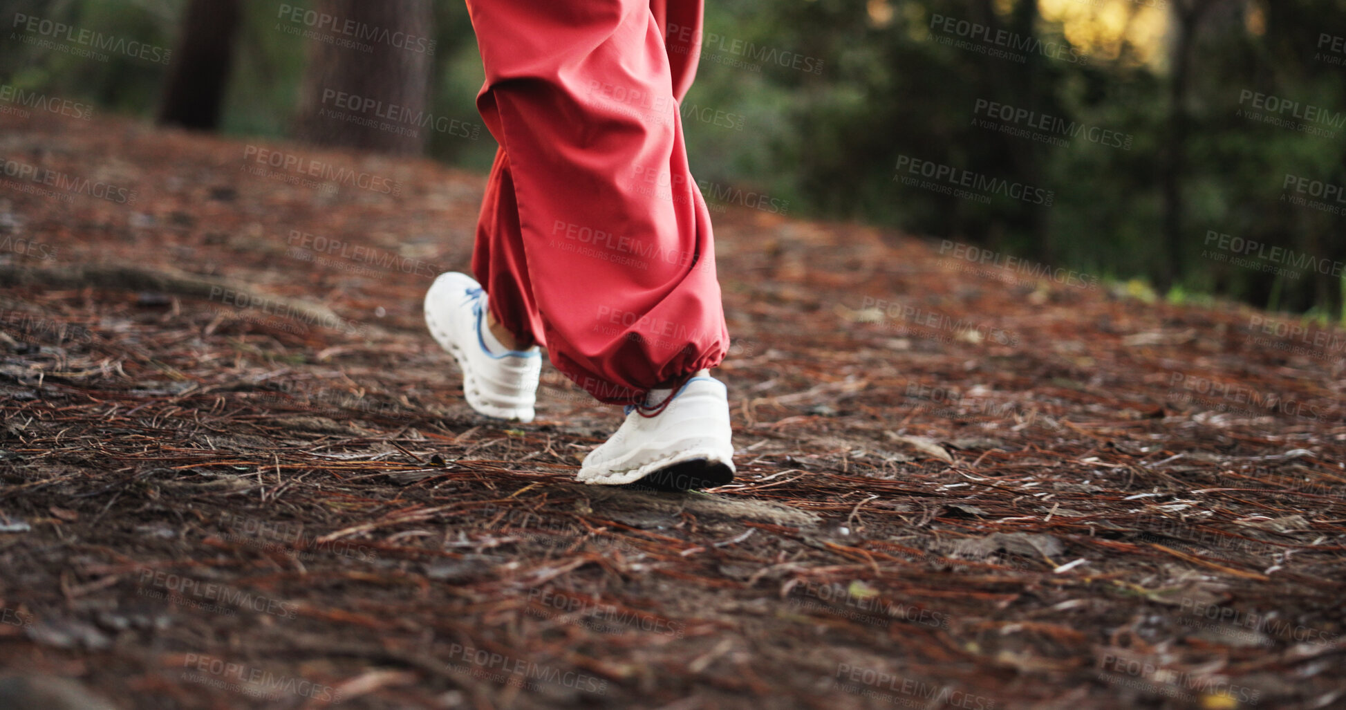Buy stock photo Walking, feet and person on hike in woods, trekking and sneakers for adventure on holiday or travel. Outdoor, hiker and shoes for exploration on vacation, journey and pathway in forest and nature