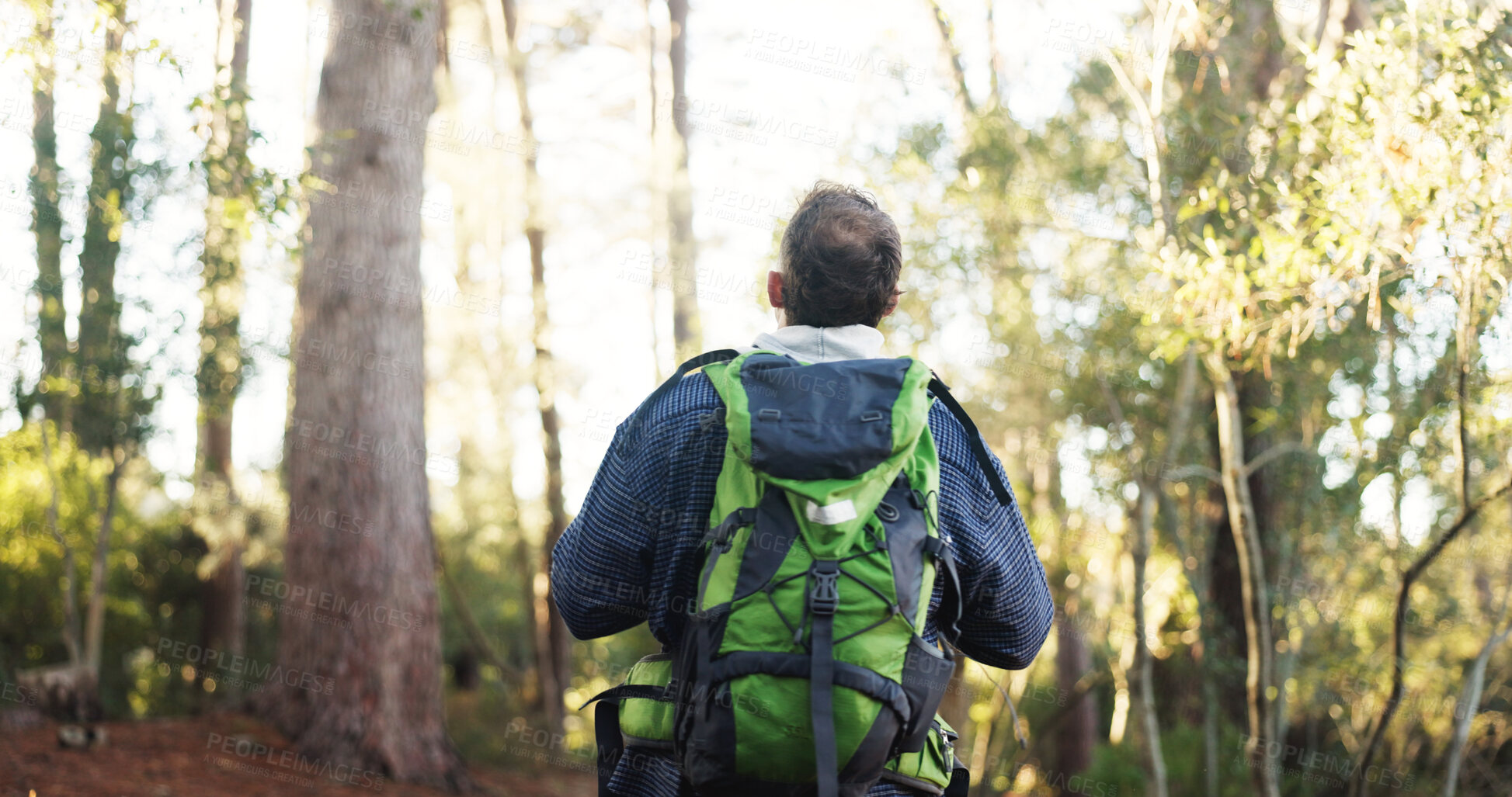 Buy stock photo Man, hiking and back with bag in forest for adventure, outdoor trip or sightseeing in nature. Male person, backpack and walking in woods with trees or gear for trekking, fitness or physical exercise