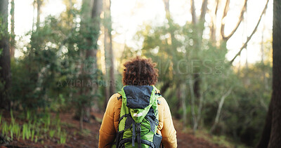Buy stock photo Travel, back view and woman hiking in forest for fitness and energy with bag, hobby and adventure. Outdoor, holiday and female person trekking in woods with environment, nature and journey to explore