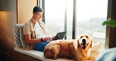Buy stock photo Man, laptop and dog on couch in home, window and remote work with reading, review and feedback for project. Person, writer and pet golden retriever with typing, editing and creativity at apartment