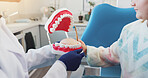 Hands, kid and dentist with mouth model for medical check, teeth hygiene or dental health. Tooth decay, healthcare procedure and teaching child patient in clinic for oral care, advice or plastic mold