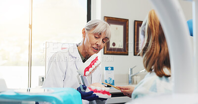 Buy stock photo Toothbrush, dentist and child with teeth for teaching, consultation or learning oral hygiene in office. Healthcare, woman and girl in discussion at clinic with tooth model for dental care education