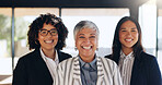 Portrait, business and group of women in office for career pride, about us and real estate agent. Smile, people and realtor team with leadership for property development, staff confidence and viewing