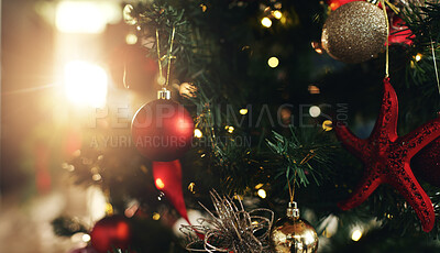 Buy stock photo Celebration, Christmas and decoration with tree in living room of home for December holidays. Ball, bauble or ornament on branches in apartment for festive tradition or vacation in winter season