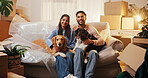Couple, dogs and portrait on sofa in new house for mortgage success, security and bonding together. Night, people and happy with animals in first home for relocation, property investment or moving in