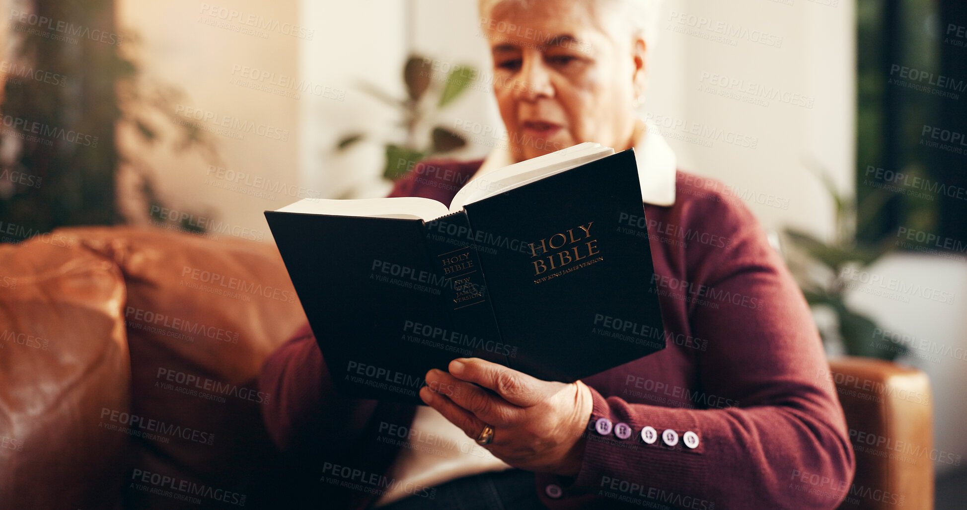 Buy stock photo Home, reading and senior woman with bible for relax with worship, faith and spiritual wellness. Christian, religion and elderly female person with study holy book for learning gospel in living room.