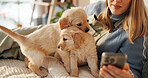 Hands, phone and puppy on bed, home and texting with care, bonding and web chat in morning. Person, dogs and pet animal with smartphone, scroll or contact on mobile app with social media at apartment