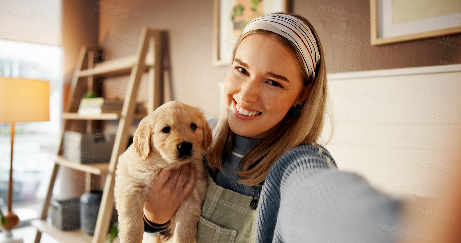 Buy stock photo Selfie, smile and puppy with woman in home for social media post, pet influencer and love. Dog content creator, photography pov and golden retriever with person in apartment for animal care and trust