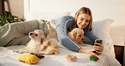 Buy stock photo Happy, girl and selfie with puppies on bed for adoption memory, social media post and bonding. Dog mom, pet insurance and photography with labrador in home for profile picture, companion and security