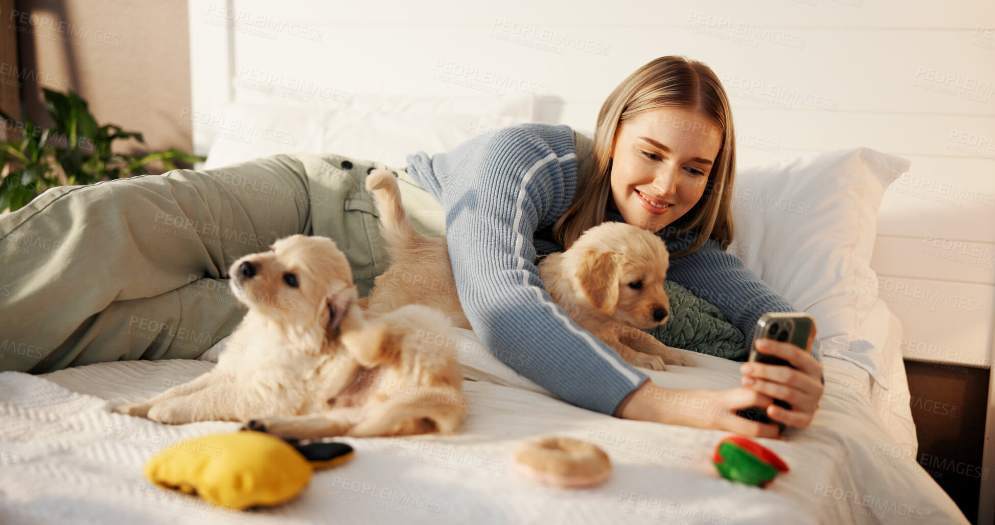 Buy stock photo Happy, girl and selfie with puppies on bed for adoption memory, social media post and bonding. Dog mom, pet insurance and photography with labrador in home for profile picture, companion and security