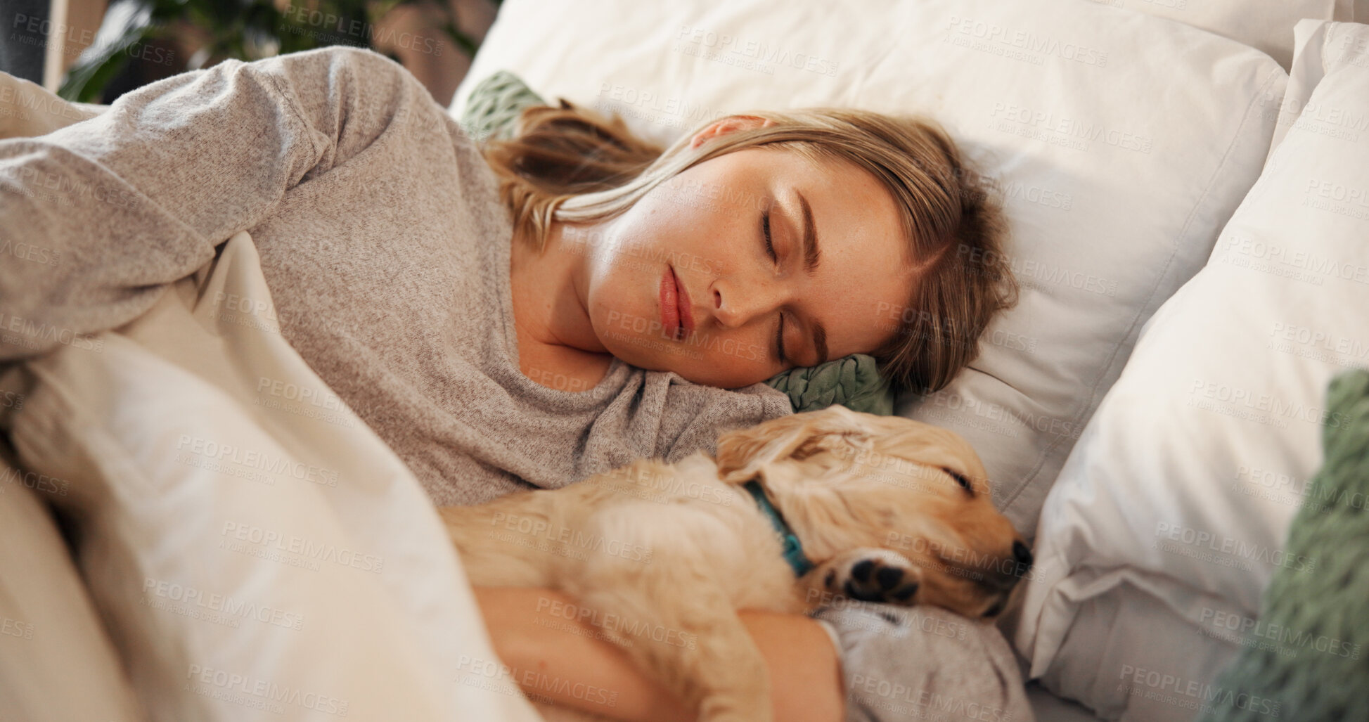 Buy stock photo Woman, sleeping and dog in home bedroom for rest, nap and relax with comfort and love of pet owner. Tired puppy, animal and connection with companionship, security and dream on bed in apartment  