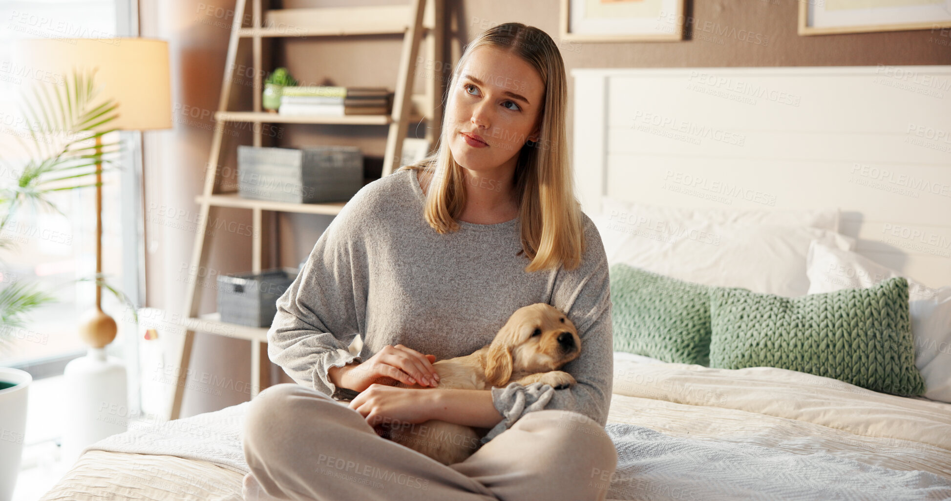 Buy stock photo Thinking, woman and relax with puppy in bedroom for love, care and bonding together with companion. Girl, dog mom and stroke pet in bed at home for connection, daydreaming or reflection with Labrador