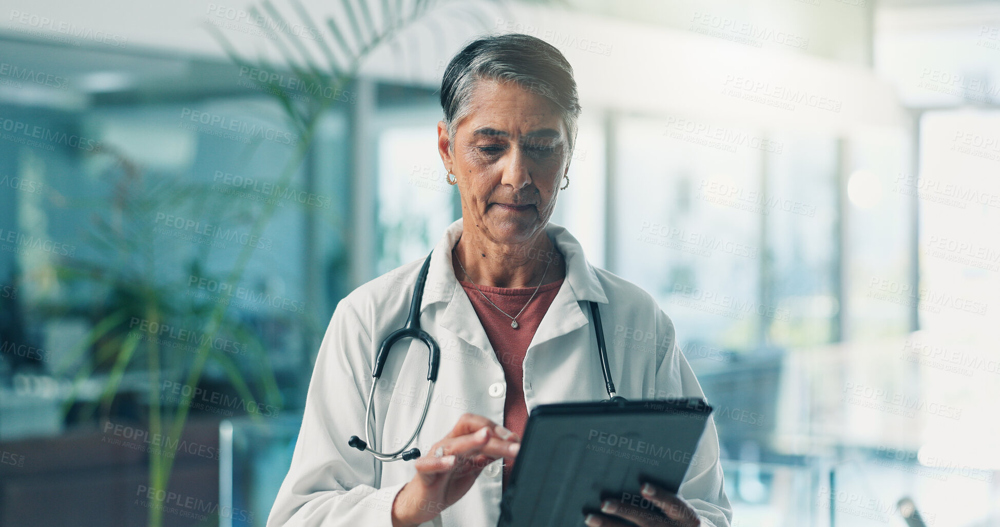 Buy stock photo Mature woman, doctor and tablet for research, telehealth or check email in clinic. Medical professional, technology and reading report for healthcare records, online schedule or test results with app