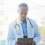 Health is your greatest wealth